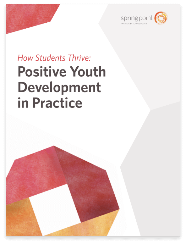 Positive Youth Development PDF cover